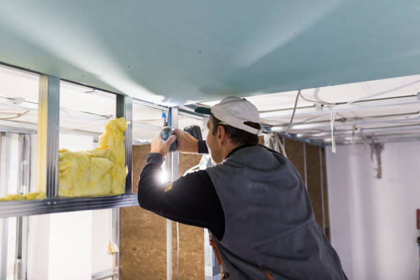 Best Types of Insulation in Ridgely, MD