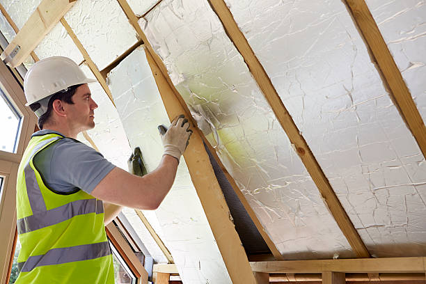 Best Insulation Installation Services in Ridgely, MD