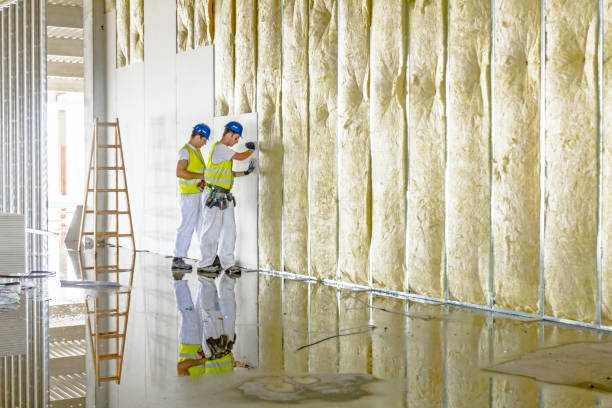 Best Insulation Maintenance and Repair in Ridgely, MD